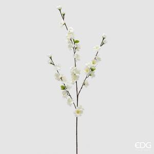 Pfirsich Blüte