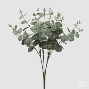 Eukalyptus